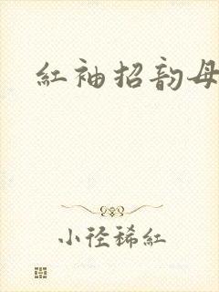 红袖招韵母攻略