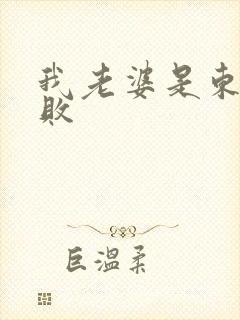 我老婆是东方不败