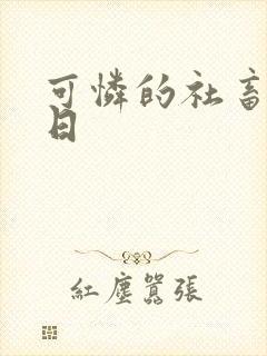 可怜的社畜东度日