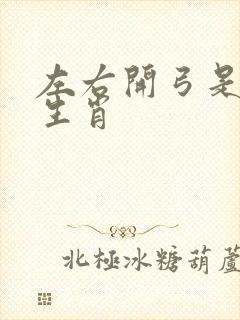 左右开弓是什么生肖