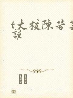t大校陈若芸小说