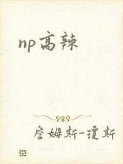 np高辣