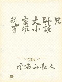 我家大师兄脑子有坑小说