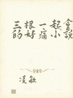 三根一起会坏掉的好痛小说