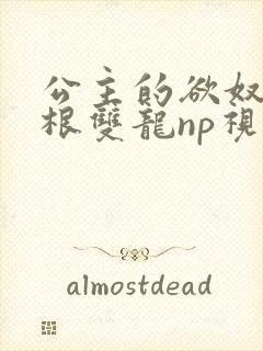 公主的欲奴h四根双龙np视频