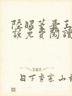 陆昭菱晋王的小说免费阅读