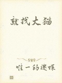 就找大猫