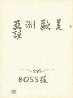 亚洲 欧美 小说