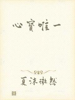 心宝唯一