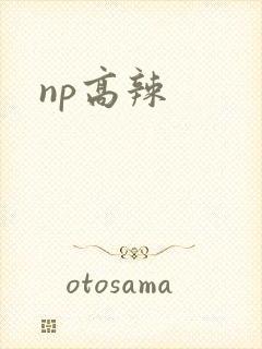 np高辣