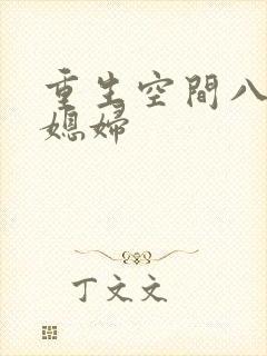 重生空间八零小媳妇