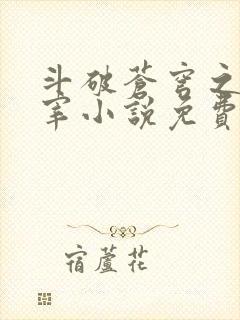 斗破苍穹之大主宰小说免费阅读全文