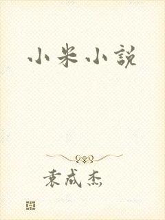 小米小说