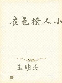 夜色撩人小说