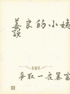 善良的小姨子小说