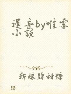 迟音by唯雾的小说