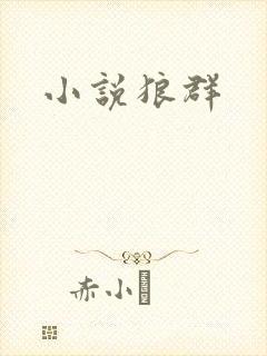 小说狼群