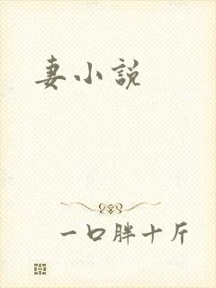 妻小说