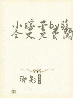 小瞎子by苏软全文免费阅读