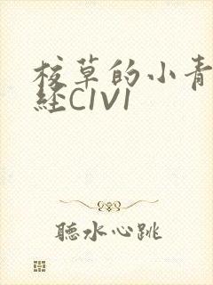 校草的小青梅不经C1V1