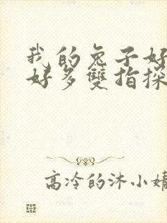 我的兔子好软水好多双指探洞小说