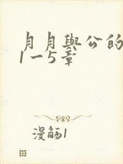 月月与公的激情1一5章