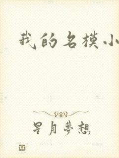 我的名模小娇妻