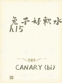 兔子好软水好多h15