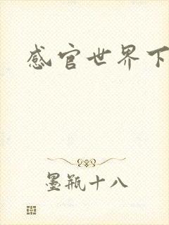 感官世界下载