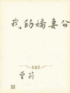 我的娇妻公务员