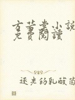 方若棠小说全文免费阅读