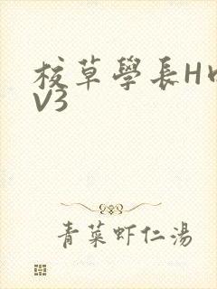 校草学长H肉1V3