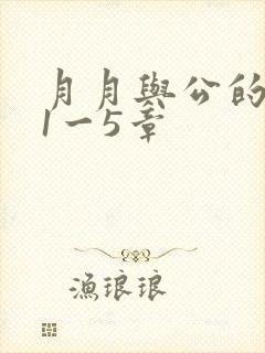 月月与公的激情1一5章