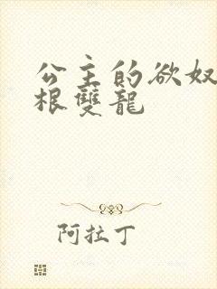 公主的欲奴h四根双龙