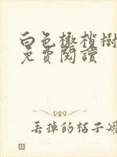 白色橄榄树全文免费阅读