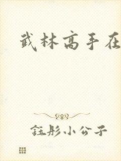 武林高手在异界