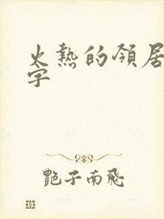 火热的领居中文字