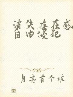 消失存在感消失自由侵犯