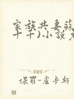 家族共妻苏苏(十千)小说免费