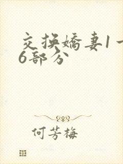 交换娇妻1一36部分