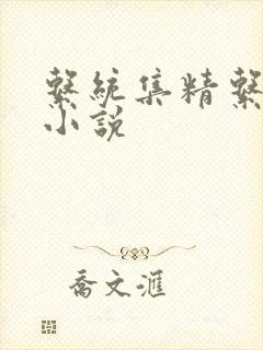 系统集精系统 小说