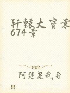 轩辕大宝袁雪妃674章