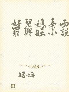 好儿媳秦雨罗明罗兴旺小说