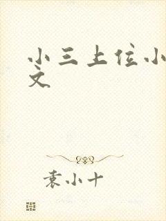 小三上位小说全文