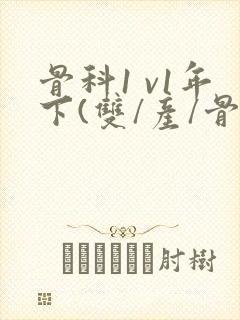 骨科1 v1年下(双/产/骨科年下)