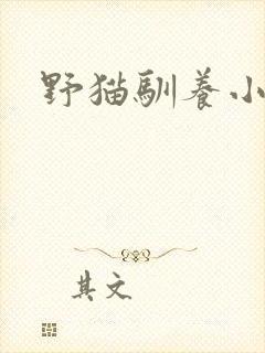 野猫驯养小说