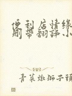 便利店情缘未增删带翻译小说