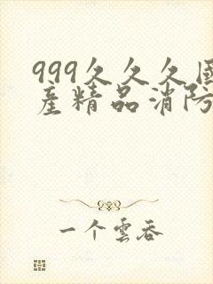 999久久久国产精品消防器材