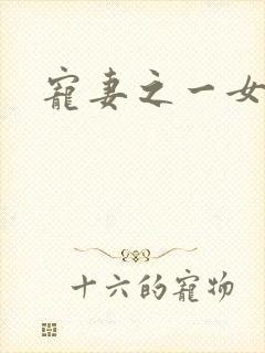 宠妻之一女二夫