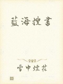 蓝海搜书